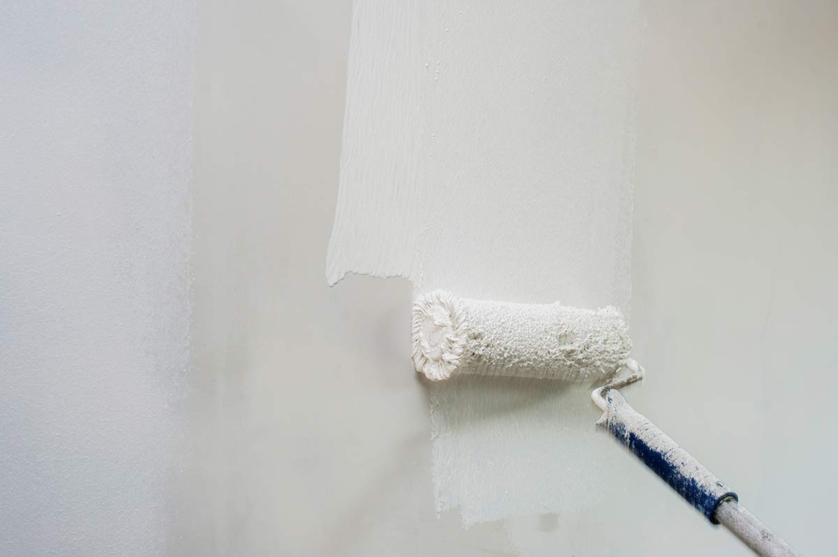 Pitture edili Treviso